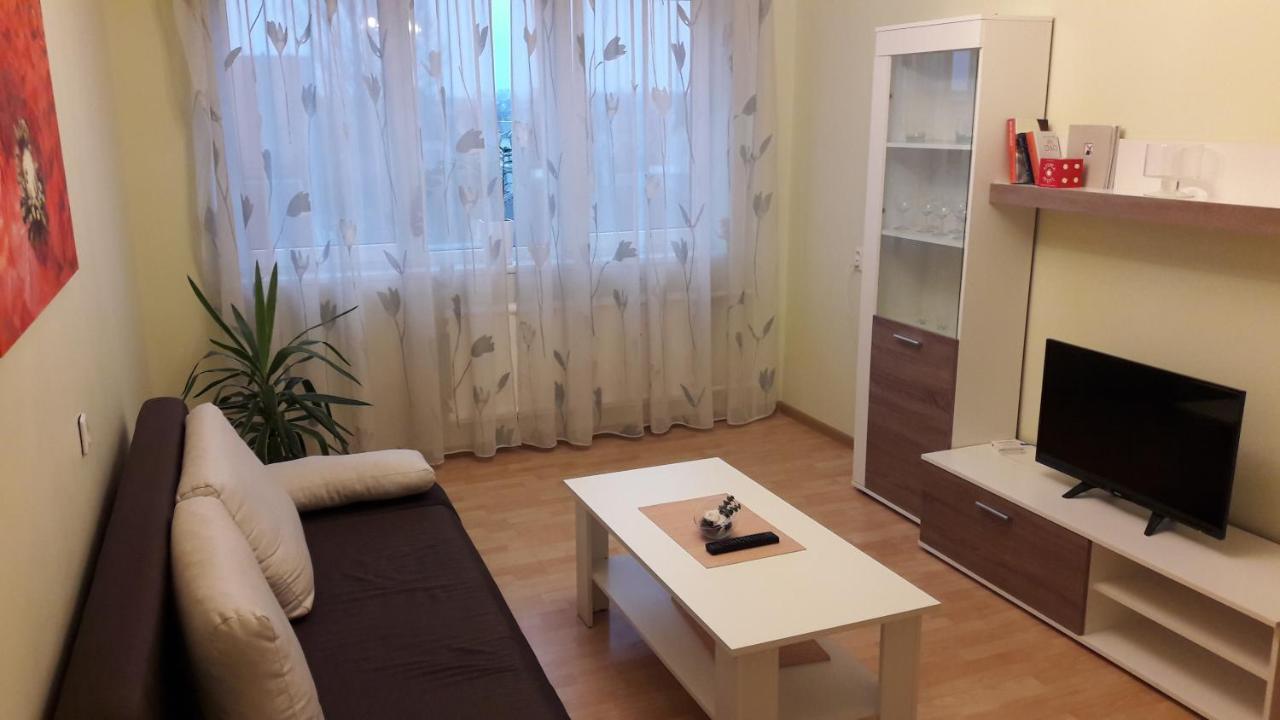 דירות Panevėžys Grazinos Apartamentai מראה חיצוני תמונה